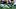 New England Patriots running back Lan Larison New England Patriots running back Lan Larison