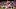 Arsenal v West Ham United - Premier League Arsenal v West Ham United - Premier League