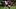 Ruben Loftus Cheek, Nicolas Martin Dominguez Ruben Loftus Cheek, Nicolas Martin Dominguez