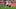 Paul Okon-Engstler hat seinen Platz in der Startelf schon wieder verloren Paul Okon-Engstler hat seinen Platz in der Startelf schon wieder verloren