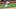 Boston Red Sox outfielder Roman Anthony Boston Red Sox outfielder Roman Anthony