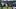 usc trojans nfl wide receiver drake london atlanta falcons caleb williams chicago bears jakobi lane injuries makai lemon usc trojans nfl wide receiver drake london atlanta falcons caleb williams chicago bears jakobi lane injuries makai lemon