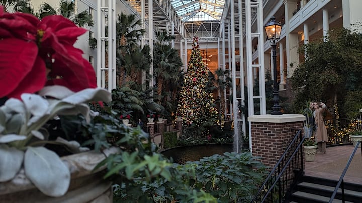 The centerpiece tree at Gaylord Opryland Resort in Nashville, Tennessee. Image courtesy Michael C. Upton