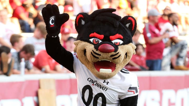 Sep 3, 2022; Fayetteville, Arkansas, USA; Cincinnati Bearcats mascot during the fourth quarter against the Arkansas Razorbacks at Donald W. Reynolds Razorback Stadium. Arkansas won 31-24. Mandatory Credit: Nelson Chenault-USA TODAY Sports