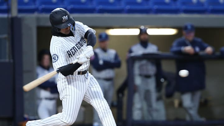 Hudson Valley's Everson Pereira at bat during the Renegades home opener versus the Brooklyn Cyclones