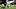 Arizona Cardinals running back Jeremiyah Love