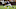 Chicago Bears, AJ Thomas Chicago Bears, AJ Thomas