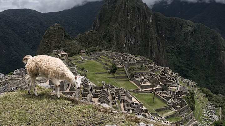 Incan Ruins of Machu Picchu, Peru