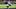 Las Vegas Raiders running back Ashton Jeanty, Fantasy Football Las Vegas Raiders running back Ashton Jeanty, Fantasy Football