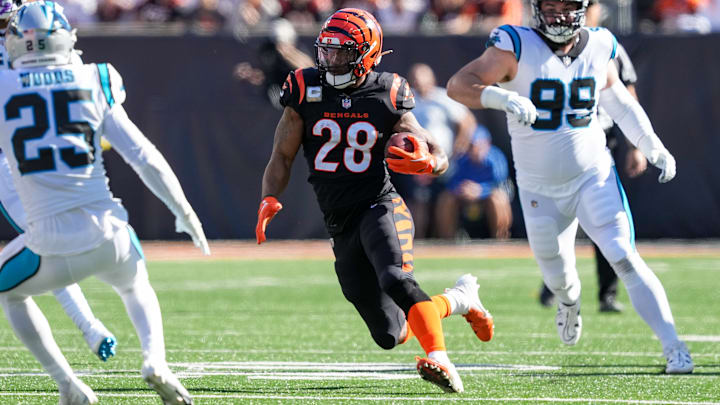 Carolina Panthers v Cincinnati Bengals