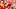 Cyrus Allen, Kansas City Chiefs, 2026 Fantasy Football Cyrus Allen, Kansas City Chiefs, 2026 Fantasy Football