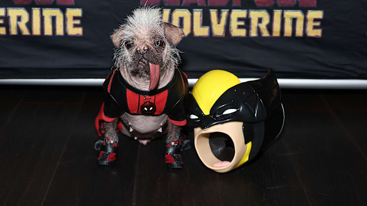Deadpool & Wolverine Special Screening Hosted by Dogpool
