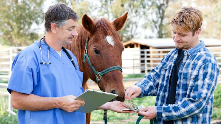 Have a pet? Prepare to pony up some serious cash.