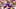 Minnesota Vikings Minnesota Vikings