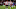 Brentford v Chelsea - Premier League Brentford v Chelsea - Premier League