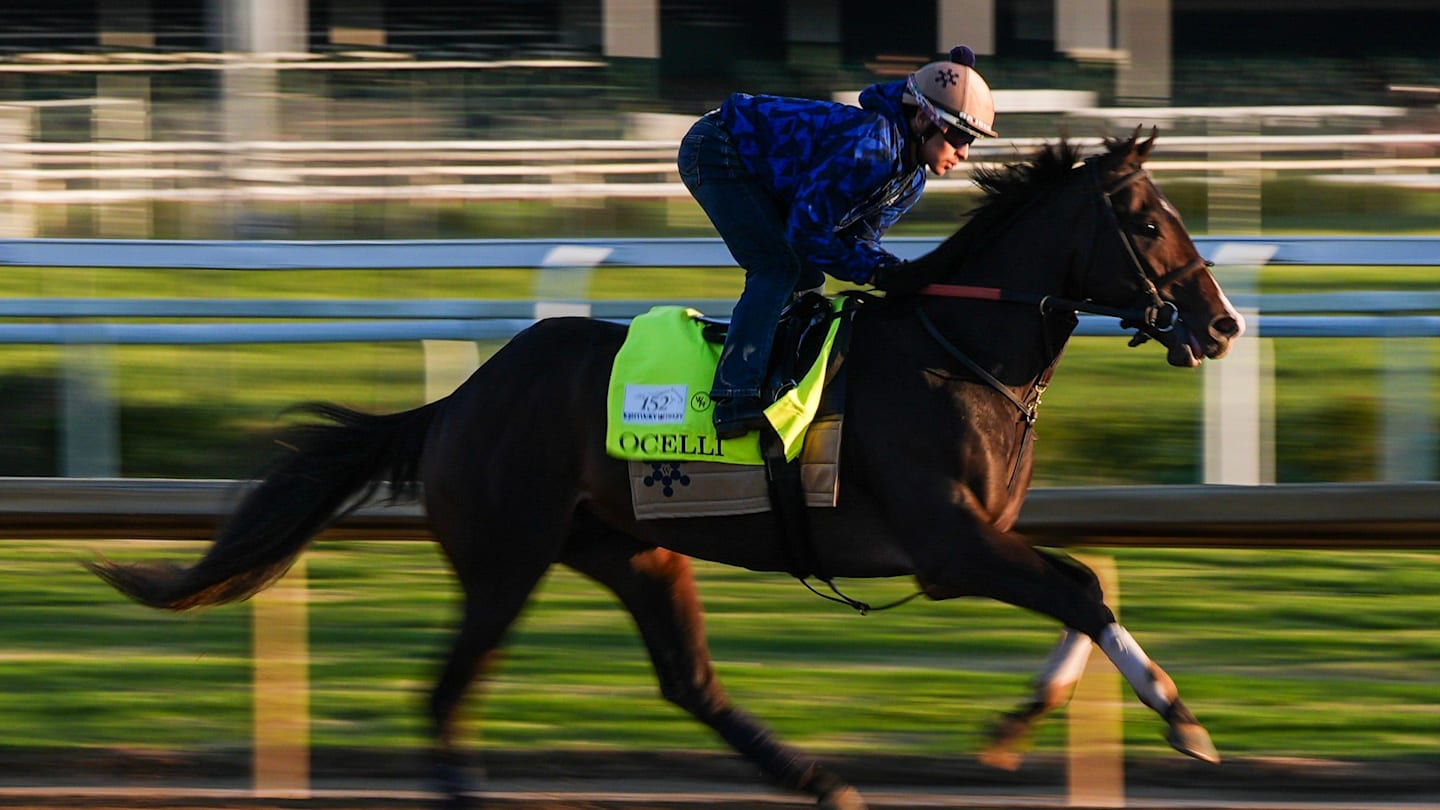Kentucky Derby 101: Answering Every Stupid Question You Might Have About Horse Racing