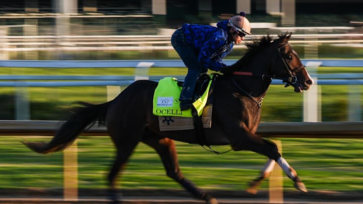 Here’s a fan-friendly guide to the 2026 Kentucky Derby.
