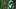 Kenyon Sadiq, fantasy footbal Kenyon Sadiq, fantasy footbal
