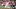 Boston Red Sox first baseman Willson Contreras Boston Red Sox first baseman Willson Contreras