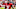 Arizona Cardinals LB Mack Wilson Sr.