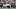  New England Patriots place kicker Andy Borregales (8)
