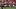Sep 19, 2026; Louisville, Kentucky, USA; Louisville Cardinals defensive back TJ Banks (4), defensive back Kaleb Beasley (10) Sep 19, 2026; Louisville, Kentucky, USA; Louisville Cardinals defensive back TJ Banks (4), defensive back Kaleb Beasley (10)