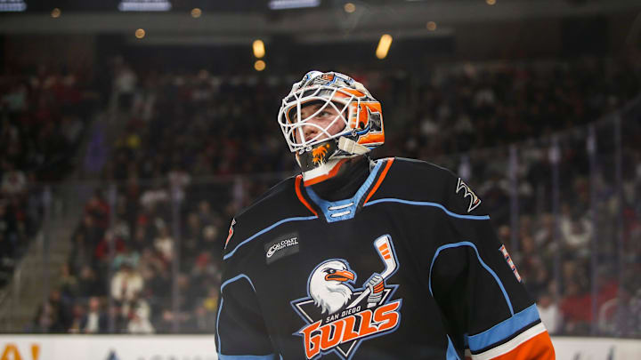 San Diego goaltender Tomas Suchanek (30) skates out of the goal during a break in play in the first