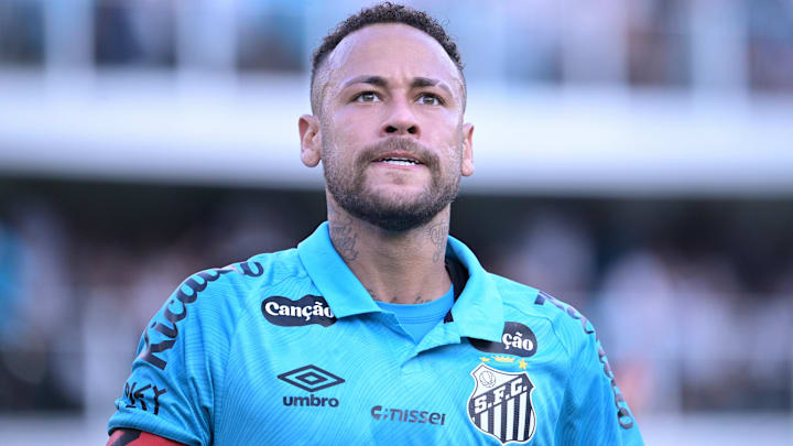 Santos v Botafogo - Brasileirao 2025