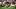 New England Patriots offense player Rhamondre Stevenson (38) 