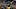 Pittsburgh Steelers cornerback Asante Samuel Jr. Pittsburgh Steelers cornerback Asante Samuel Jr.