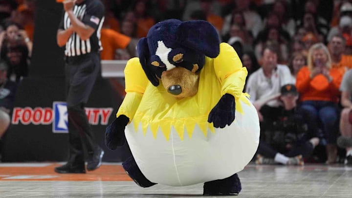 Smokey waddles on the court during a men’s college basketball game between Tennessee and South Carolina at Thompson-Boling Arena at Food City Center, Saturday, March 8, 2025.