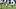 Washington Commanders cornerback Mike Sainristil tries to block a field goal against the Indianapolis Colts. Washington Commanders cornerback Mike Sainristil tries to block a field goal against the Indianapolis Colts.