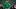 National Power Pulls Ahead in 5-Team Battle for College Football's No. 4 WR National Power Pulls Ahead in 5-Team Battle for College Football's No. 4 WR