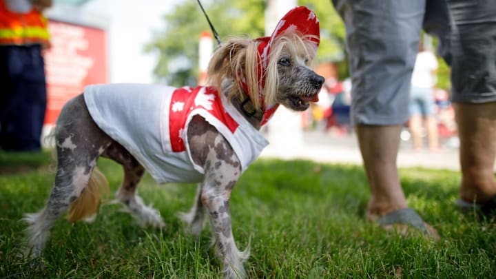 Toronto Celebrates Canada Day With Parade And Fireworks