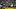 MSU-UCLA MSU-UCLA