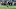 Jadarian Price, RB, Seattle Seahawks Jadarian Price, RB, Seattle Seahawks