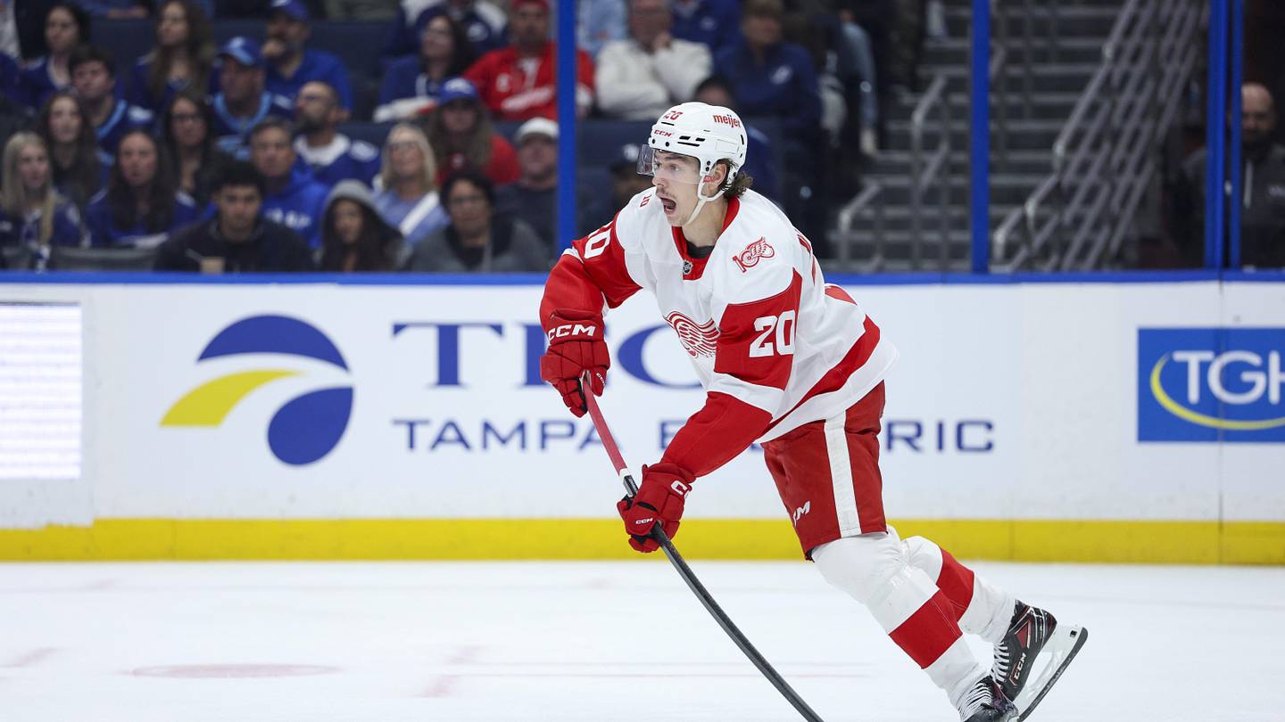 The Red Wings are grinding my gears (again)