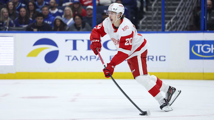 Mar 12, 2026; Tampa, Florida, USA; Detroit Red Wings defenseman Albert Johansson (20) controls the puck against the Tampa Bay Lightning in the third period at Benchmark International Arena. Mandatory Credit: Nathan Ray Seebeck-Imagn Images