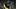 Pittsburgh Pirates designated hitter Marcell Ozuna