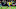 FBL-FRIENDLY-AUS-COL