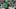 Philadelphia Eagles QB Jalen Hurts Philadelphia Eagles QB Jalen Hurts