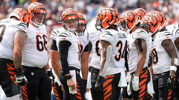 Cincinnati Bengals v Chicago Bears