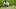 Xander Schauffele has won two major championships in his career. Xander Schauffele has won two major championships in his career.