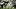 Baylor running back Dawson Pendergrass lowers his head as he carries the ball between multiple Colorado defenders. Baylor running back Dawson Pendergrass lowers his head as he carries the ball between multiple Colorado defenders.