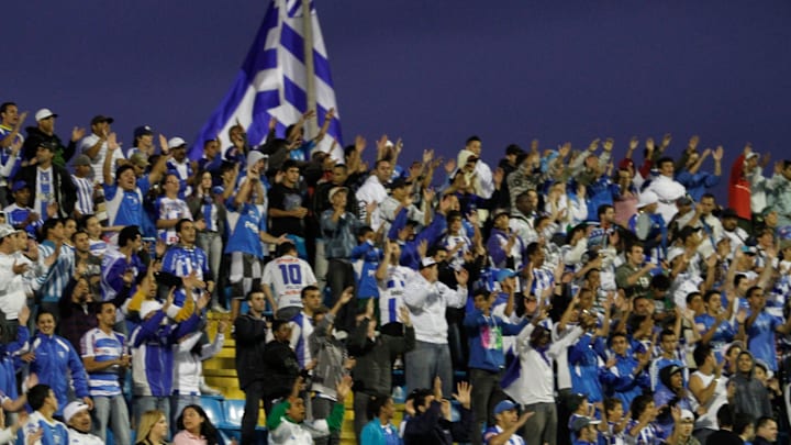Torcida do Avaí sempre apaixonada