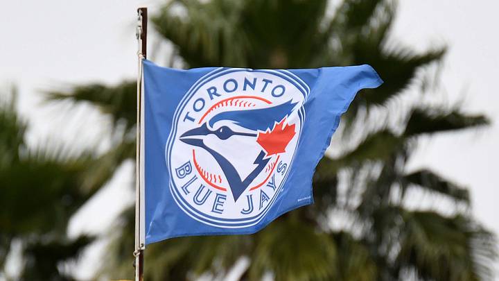 Toronto Blue Jays flag 