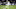 Martin Caceres Martin Caceres