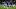 Leicester City v Millwall - Sky Bet Championship