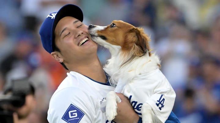 Los Angeles Dodgers star Shohei Ohtani gets a kiss from his dog Decoy before a game against the Baltimore Orioles at Dodger Stadium. Mandatory Credit: Jayne Kamin-Oncea-Imagn Images. Los Angeles Dodgers star Shohei Ohtani gets a kiss from his dog Decoy before a game against the Baltimore Orioles at Dodger Stadium. Mandatory Credit: Jayne Kamin-Oncea-Imagn Images.