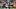 New England Patriots quarterback Behren Morton New England Patriots quarterback Behren Morton